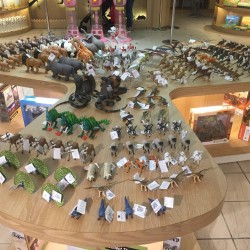 Shishang Discovery-Rain Forest Store