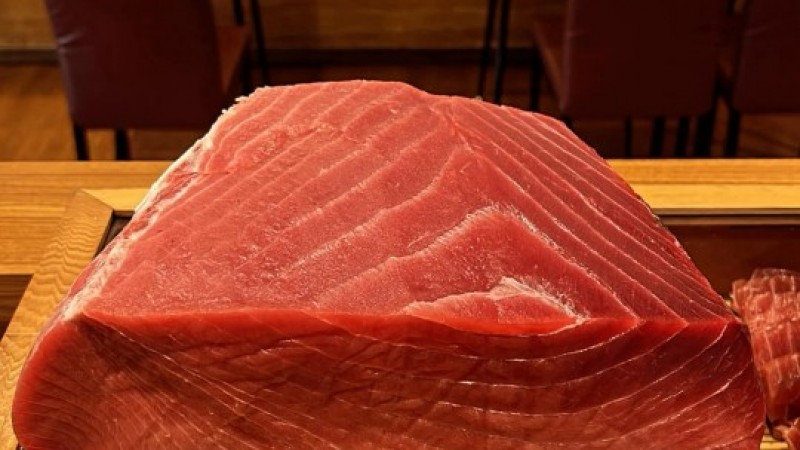 c36bbd258b (308).jpeg