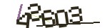 인증번호