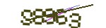 認證碼
